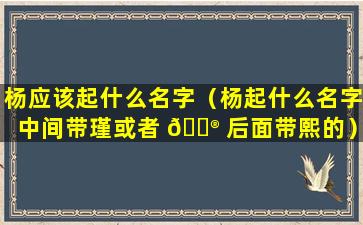 杨应该起什么名字（杨起什么名字中间带瑾或者 💮 后面带熙的）